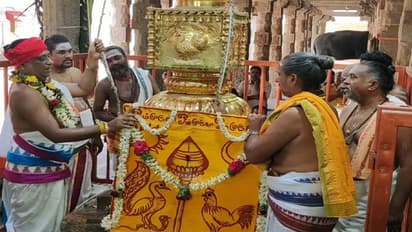 Palani Visakam festival : பழனி பெயிநாயகி அம்மன் கோவிலில் வைகாசி விசாகப் பெருவிழா! - கொடியேற்றத்துடன் தொடக்கம்!