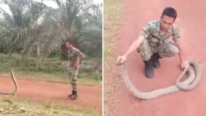 தலைக்கு தில்ல பாத்தியா.. வெறும் கையில் ராட்சத பாம்பை பிடித்த நபர்.. நீங்களே வீடியோவை பாருங்க..