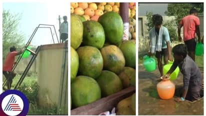 ರಾಜ್ಯದಲ್ಲಿದೆ ಏಷ್ಯಾದ ಅತಿದೊಡ್ಡ ಮಾವು ಮಾರುಕಟ್ಟೆ, ಆದರೆ ಕನಿಷ್ಠ ಮೂಲಭೂತ ಸೌಕರ್ಯವೂ ಇಲ್ಲ!
