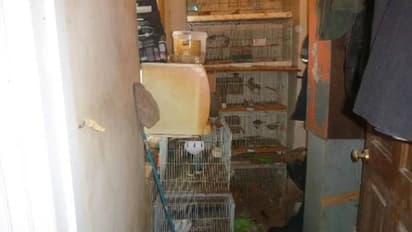 ദുർഗന്ധത്തെ തുടർന്ന് പരിശോധന, വീട്ടിനകത്ത് മോശം സാഹചര്യത്തിൽ 167 മൃഗങ്ങൾ, എന്നേക്കുമായി വീട്ടുകാരന് വിലക്ക്