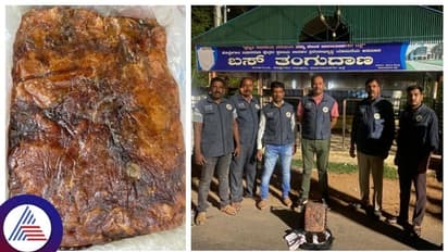 Whale Vomit Smuggling: 3.5 ಕೋಟಿ ಮೌಲ್ಯದ ಅಂಬರ್ಗ್ರಿಸ್ ಸಾಗಿಸುತ್ತಿದ್ದವರು ಚಾಮರಾಜನಗರದಲ್ಲಿ ಅರೆಸ್ಟ್