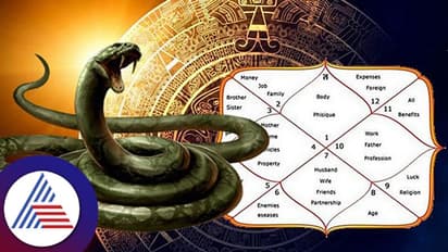 பாம்பைக் கொன்றால் "நாக தோஷம்" ஏற்படுமா? இதற்கு பரிகாரம் அவசியமா? ஜோதிடக் கூற்று இதோ!