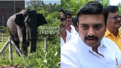 അരിക്കൊമ്പൻ വിരണ്ടോടിയത് വാഴത്തോപ്പിൽ തീയിട്ടത് കൊണ്ട്: തമിഴ്‌നാട് വനം മന്ത്രി