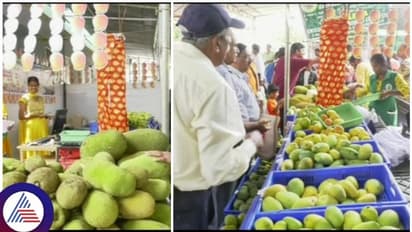 ಮಾವು, ಹಲಸು ಸುಗ್ಗಿ ಆರಂಭ: ಕೊಡಗು ಮಾವು ಮೇಳಕ್ಕೆ ಭರ್ಜರಿ ರೆಸ್ಪಾನ್ಸ್