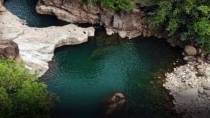 പതങ്കയം വെള്ളച്ചാട്ടത്തില് 4 യുവാക്കൾ അപകടത്തിൽപെട്ടു, മൂന്നുപേർ നീന്തി രക്ഷപ്പെട്ടു; ഒരാൾ മരിച്ചു