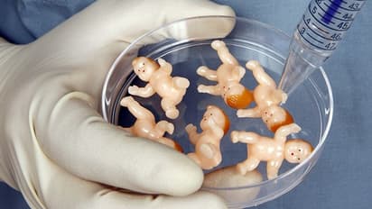 What is IVF? What is the procedure and steps? Know it's success rates in India