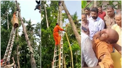 പടുകൂറ്റൻ മരം വെട്ടുന്നതിനിടെ മരത്തിൽ കുടുങ്ങി കുഞ്ഞുമോൻ; നാട്ടുകാർ അറിയിച്ചു, ഫയർഫോഴ്സ് പാഞ്ഞെത്തി, രക്ഷ!