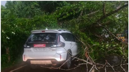 ഇരിട്ടിയിൽ കനത്ത കാറ്റും മഴയും; കാറിന് മുകളിൽ മരം ഒടിഞ്ഞുവീണു; പഞ്ചായത്ത് പ്രസിഡന്‍റ് തലനാരിഴക്ക് രക്ഷപ്പെട്ടു