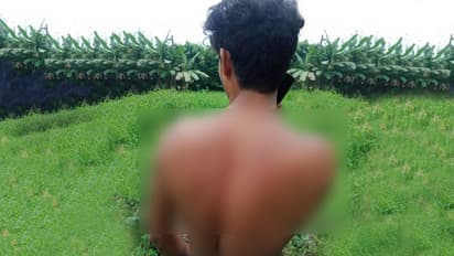 പോത്ത് പറമ്പിൽ കയറിയതിന് പ്രതികാരം, യുവാവിനെ അരിവാളിന് വെട്ടി പറമ്പുടമ; യുവാവ് കോഴിക്കോട് മെഡിക്കൽ കോളേജിൽ