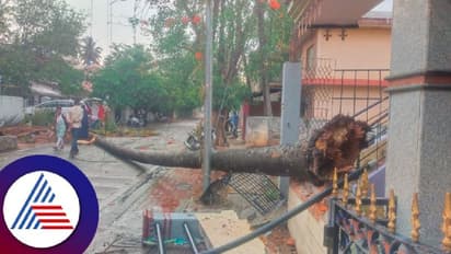 Karnataka rains: ರಾಜ್ಯಾದ್ಯಂತ ಹಲವು ಜಿಲ್ಲೆಗಳಲ್ಲಿ ಮತ್ತೆ ಮಳೆ: ಸಿಡಿಲಿಗೆ ಮೂವರು ಬಲಿ!