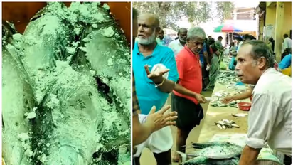 മണൽ വിതറി മത്സ്യവില്‍പ്പന; മാർക്കറ്റിൽ അമോണിയം കലർന്ന മീൻ, നശിപ്പിച്ചത് ഒന്നും രണ്ടുമല്ല, 288 കിലോ