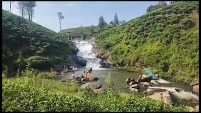 கோவை வால்பாறை அருகே காதலி கண் முன்பு நீர்வீழ்ச்சியில் குதித்த காதலன் மாயம்