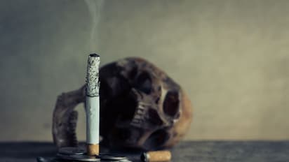 World No Tobacco Day 2023: இன்று உலக புகையிலை எதிர்ப்பு தினம்..!!