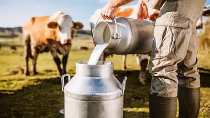World Milk Day 2023: From almond to soy milk, 7 best alternatives to cow milk
