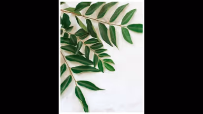 కరివేపాకును పరిగడుపున తింటున్నారా? అయితే ఈ విషయాన్ని తెలుసుకోవాల్సిందే