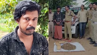 ചാലക്കുടിയിൽ 6 കിലോ കഞ്ചാവുമായി കൊലക്കേസ് പ്രതി പിടിയിൽ; കൂടെയുണ്ടായിരുന്ന അന്യസംസ്ഥാന തൊഴിലാളി ഓടിപ്പോയി