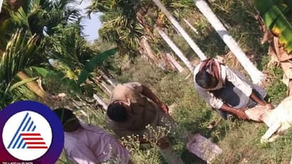 ದಾವಣಗೆರೆ: ಚಿರತೆ ಹಾವಳಿಗೆ ಅವಳಿ ತಾಲೂಕಿನ ಜನ ಕಂಗಾಲು