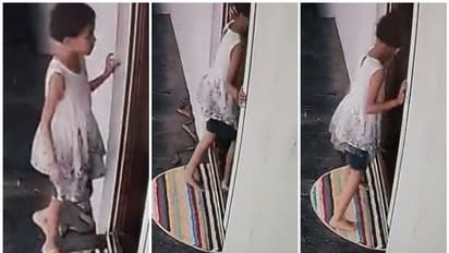 നെഞ്ചിടിപ്പ് നിന്ന് പോകും! ഒരു തവണയിൽ കൂടുതൽ കാണാനാവില്ല; കൊത്താനാഞ്ഞ് മൂർഖൻ, തലനാരിഴക്ക് രക്ഷപ്പെട്ട് കുട്ടി