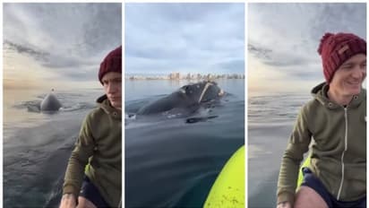 രണ്ട് പേര്‍ക്ക് മാത്രമിരിക്കാവുന്ന തോണി, ചുറ്റം തിമിംഗലങ്ങള്‍ എന്ത് ചെയ്യും? ഒരു വൈറല്‍ വീഡിയോ 