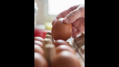 రోజూ ఒక గుడ్డును తింటే..!