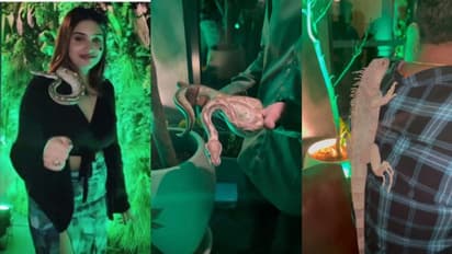 നിശാപാര്‍ട്ടിക്ക് ലഹരി കൂട്ടാന്‍ വന്യജീവികള്‍, പബ്ബ് ഉടമയടക്കം 9 പേര്‍ പിടിയില്‍