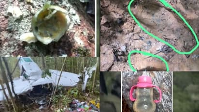 'പാതിതിന്ന് ഉപേക്ഷിച്ച പഴങ്ങൾ, കുഞ്ഞു കാല്പാടുകൾ'; ആ നാല് പിഞ്ചുകുഞ്ഞുങ്ങൾക്ക് ജീവനുണ്ട്!, കെടാതെ പ്രതീക്ഷ!