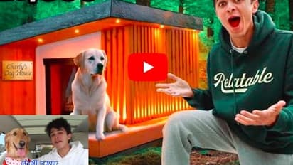 ಶ್ವಾನ ಚಾರ್ಲಿಗೆ 16 ಲಕ್ಷ ಮೌಲ್ಯದ ಮನೆ ಕಟ್ಟಿಸಿದ ಯೂಟ್ಯೂಬರ್