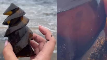 Viral video: സ്രാവിന്റെ മുട്ട കണ്ടെത്തി, വീഡിയോയുമായി യുവതി, അവിശ്വസനീയം എന്ന് സോഷ്യൽ മീഡിയ