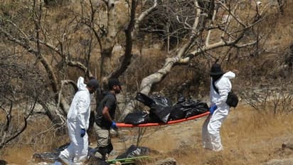 കാണാതായവർക്കുവേണ്ടിയുള്ള തിരച്ചിലിൽ ലഭിച്ചത് മൃതദേഹാവശിഷ്ടങ്ങൾ നിറച്ച 45 വലിയ ബാഗുകൾ; ഞെട്ടി ഈ രാജ്യം