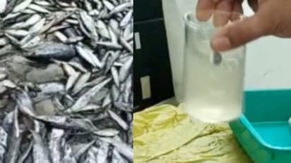 ഒന്നും രണ്ടുമല്ല, 1850 കിലോ മത്സ്യം, എല്ലാം നെടുമങ്ങാട് വിൽപ്പനയ്ക്കെത്തിച്ചത്, പരിശോധനയിൽ കുടുങ്ങി!