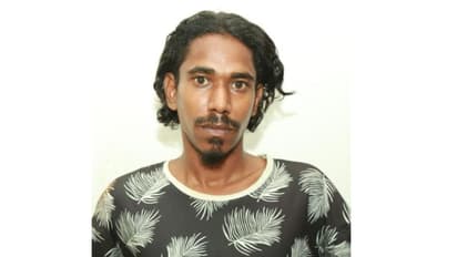 മലപ്പുറത്ത് വീട്ടിൽ കഞ്ചാവ് ചെടി; പിന്നാലെ പൊലീസ് പൊക്കി, അതൊരു ആഗ്രഹം സാധിക്കാനായിരുന്നു എന്ന് പ്രതി!