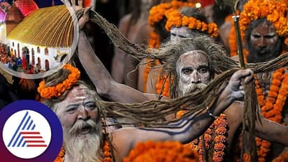 Ambubachi Mela: ಈ ದೇವಿಯ ಮುಟ್ಟಿನ ದಿನಗಳ ಹಬ್ಬಕ್ಕೆ ಹರಿದು ಬರುವ ಸಾಧುಸಂತರು!