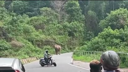 ആന ഇറങ്ങിയിട്ടുണ്ട്, ഒന്ന് വാ...! സഹായത്തിന് ഫോൺ വിളിച്ച ആൾക്ക് വിചിത്ര മറുപടി നൽകി വനംവകുപ്പ് ഉദ്യോഗസ്ഥർ