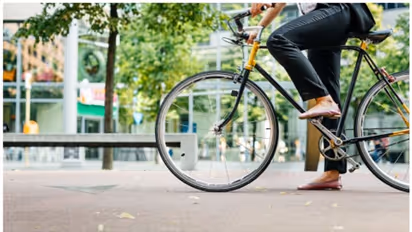 World Bicycle Day 2023 : ദിവസവും അൽപ ദൂരം സെെക്കിൾ ചവിട്ടാം, ഗുണങ്ങൾ പലതാണ്