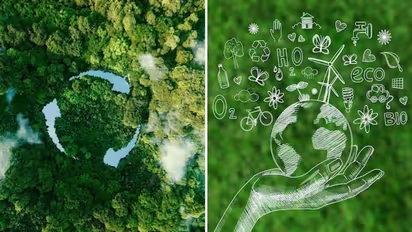 World Environment Day 2023: Glance at date, history, theme, and importance