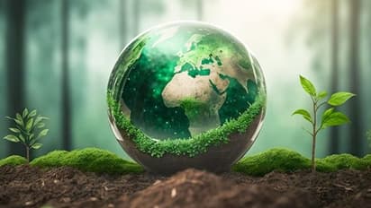 World Environment Day 2023:  ಈ ದಿನದ ಇತಿಹಾಸ, ಮಹತ್ವ ಮತ್ತು ಥೀಮ್‌ ಏನು? ಇಲ್ಲಿದೆ ಮಾಹಿತಿ