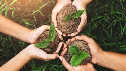 World Environment Day: இனி பிளாஸ்டிக் பயன்பாட்டை குறைக்கணும்.. வேற வழியில்ல! உலக சுற்றுச்சூழல் தினம் இன்று!! 