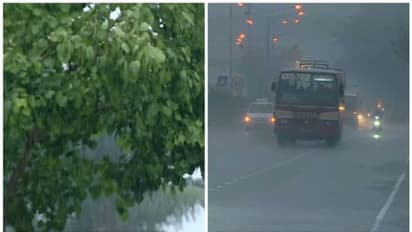 മഴയിങ്ങെത്തി, കാലവർഷം കേരളതീരത്തേക്ക്, ആദ്യം മഴ കിട്ടുക തെക്കൻ കേരളത്തിൽ