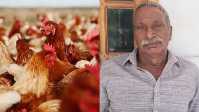 മുട്ടക്കോഴികളെ പെരുമ്പാമ്പ് വിഴുങ്ങി; കാസർഗോഡ് നഷ്ടപരിഹാരം തേടി അദാലത്തിലെത്തിയ കർഷകന് നിരാശ