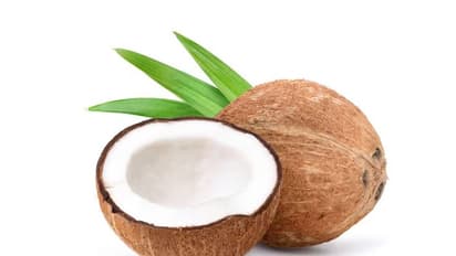 Tumakur : ಕೊಬರಿ ಖರೀದಿ ಕೇಂದ್ರದಲ್ಲಿ ಕೌಂಟರ್ ಹೆಚ್ಚಳಕ್ಕೆ ಆಗ್ರಹ