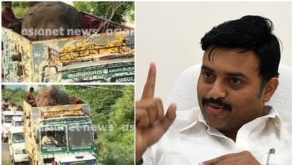 അനിശ്ചിതത്വം മാറി? അരിക്കൊമ്പനെ തുറന്ന് വിടുമെന്ന് പ്രഖ്യാപിച്ച് തമിഴ്നാട് വനംമന്ത്രി; അംബാസമുദ്രം കടക്കുന്നു