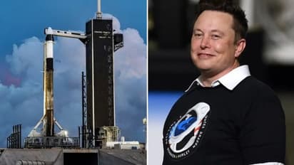 ஸ்பேஸ் எக்ஸ் செவ்வாய் கிரகத்தில் வெற்றிகரமாக தடம் பதிக்கும்: எலான் மஸ்க் உறுதி