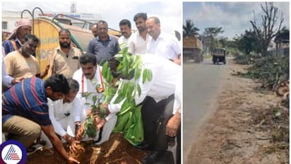 ಹೇಳಲು ಮಲೆನಾಡು, ರಸ್ತೇಲಿ ಎರಡು ಮರ ಕಾಣಿಸ್ತಿಲ್ಲ.. ಏನ್ ಕರ್ಮ ನಮ್ದು..!