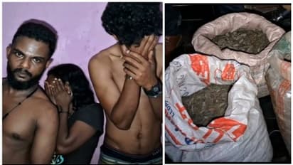 വീട് വാടകക്ക് എടുത്ത് ലഹരി വിൽപന; ദമ്പതികൾ ഉൾപ്പെടെ 3 പേർ പിടിയിൽ; 20 കിലോ കഞ്ചാവും പിടിച്ചെടുത്തു