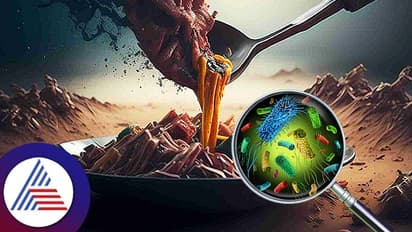 ಬೇಸಿಗೆಯಲ್ಲಿ ಆರೋಗ್ಯ ಹಾಳು ಮಾಡುತ್ತೆ Food Poison