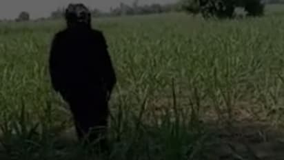 പ്രതിദിനം 250 രൂപ കൂലി; നിൽക്കണം, നടക്കണം, ചിലപ്പോ ഓടിക്കണം, പൈസ കിട്ടും! നിബന്ധന വേഷ കാര്യത്തിൽ മാത്രം