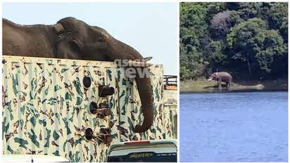 'അരിക്കൊമ്പൻ ആരോ​ഗ്യവാൻ'; പുതിയ കാട് അപ്പർ കോടയാർ; നിരീക്ഷണം തുടരാന്‍  തമിഴ്നാട് വനംവകുപ്പ്