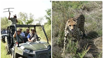 A Guide to India's National Parks: Wildlife Watching and More