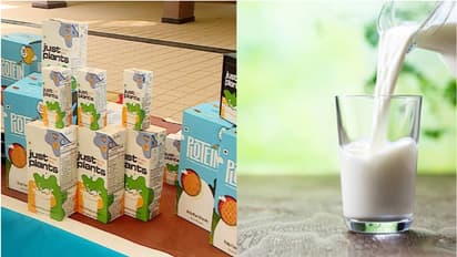കേരളത്തിൽനിന്ന് വെജിറ്റേറിൻ പാൽ, ഉൽപന്നം പുറത്തിറക്കാൻ കൊച്ചിയിലെ കമ്പനി, അമേരിക്കൻ സഹായം!