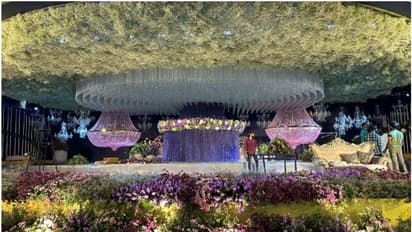 Abhishek Ambareesh Reception: ಅದ್ದೂರಿ ಆರತಕ್ಷತೆಗೆ ಸಿದ್ಧವಾಗಿದೆ ವೇದಿಕೆ, ಯಾರೆಲ್ಲಾ ಗಣ್ಯರು ಭಾಗಿಯಾಗ್ತಾರೆ?